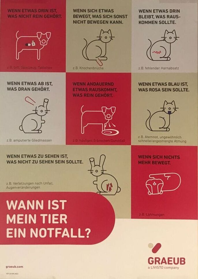 Infografik zeigt typische Anzeichen für Tiernotfälle und wann Tierarztbesuch notwendig ist.