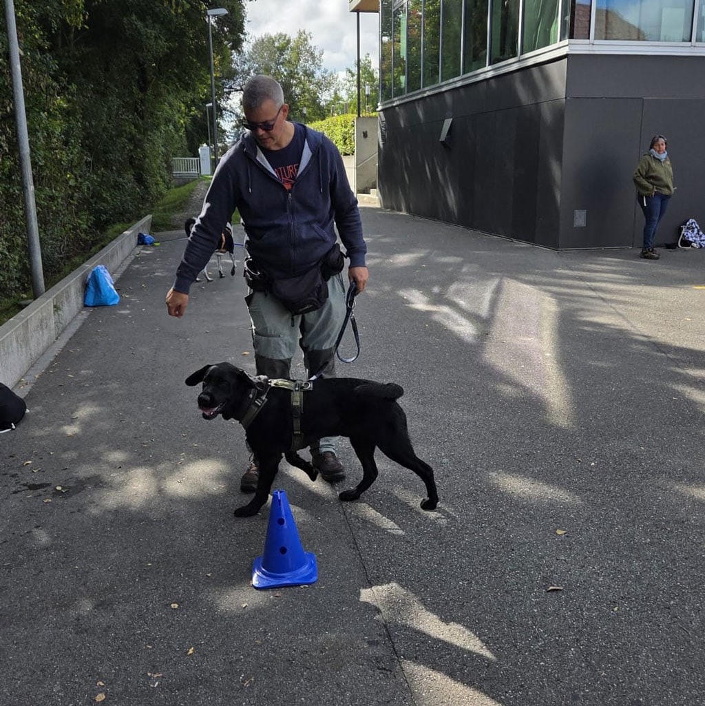 Hund beim Schutzhund-Training mit Trainer und Hindernis.